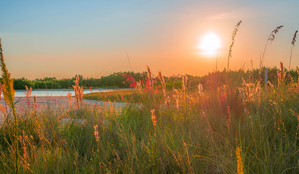 Marco Island, FL Tropical Tiki Tours